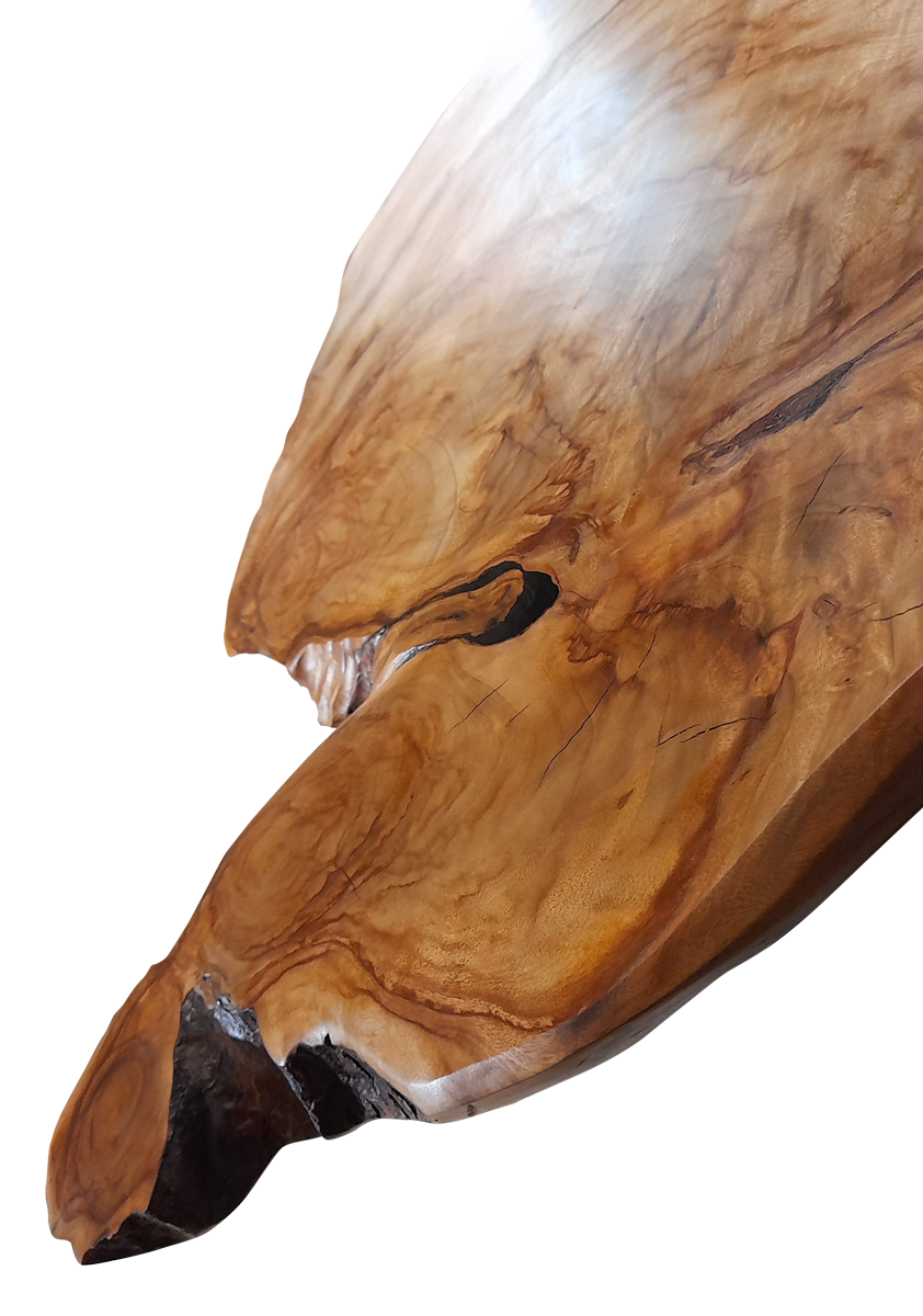 Hand carved and natural edge camphor laurel slab